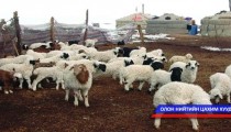 Малчдын тэтгэврийн насыг наашлуулахгүй