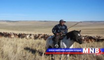 Нэн ядуу арван айлыг малжуулахаар төлөвлөжээ