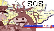 Он гарсаар мал, амьтны гоц халдварт өвчний 60 гаруй тохиолдол бүртгэгдлээ