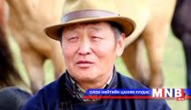  Г.Галбадрах: Эрлийз морийг нүд нь хорсож, ад үзэх хэрэггүй... 