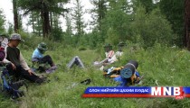 Ногоон бүсэд шалгалт хийлээ