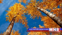 Хөх морин жилийн намрын тэргүүн хийгээд есдүгээр сарын тэнгэр, цаг агаарын шинж төлөв....