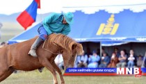 Адуун соёлын амин хэлхээ