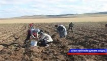 Ургац хураалт хэвийн үргэлжилж байна