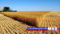 Дорнодын тариаланчид 10.4 тонн улаан буудай тушаажээ