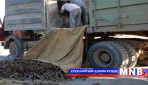 Зээрийн эвэр хилээр гаргахыг завджээ