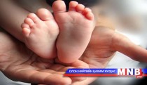 Төрөлт 3.2 хувиар өсчээ