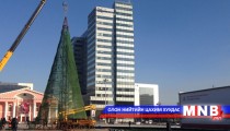 Нийслэлийн төв талбайн сүлд модыг засч эхэллээ