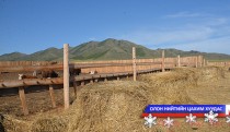 Багануурын мал, малчид тавтай өвөлжинө