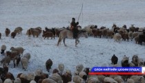 “Нийгмийн даатгалтай малчид” боллоо 