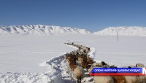 Дархан-Уул аймагт өвөлжилт хүндэрч байна 