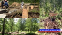 Хөвсгөл аймаг ойн сан бүхий газартаа цэвэрлэгээ хийнэ