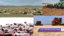 Хөдөө аж ахуйн мэргэжилтнүүд сургалтад хамрагдлаа