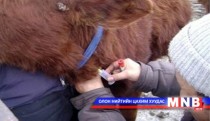 Шүлхий өвчнөөс урьдчилан сэргийлж байна