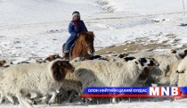 Архангай аймаг малынхаа тоогоор улсдаа тэргүүллээ