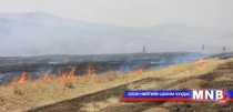 Мэргэжлийн хяналтынхан түймрийн голомтод ажиллаж байна 