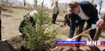 Нийслэлийн хэмжээнд “Нэг сая мод ургуулах хөдөлгөөн”-ийг зохион байгуулна