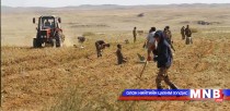 Аж ахуйн нэгжүүд үр тарианы суулгацаа урьдчилгаа төлбөргүй авах боломжтой