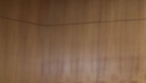 У.Хүрэлсүх: Тяньжинд боомттой болж, гуравдагч зах зээлд чөлөөтэй гарна