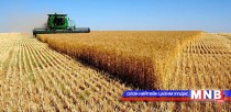 Газар тариаланг технологийн нарийн горимоор үйлдвэрлэх хэрэгтэй гэв