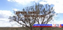 Дорнын говиос Монгол эхэлнэ