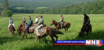 Аялал жуулчлалын салбарынхан сургалтад хамрагдаж байна
