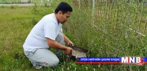 Т.Аюурсайхан үнсээр цэцэг бордохыг зөвлөжээ