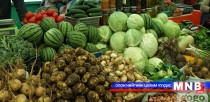 Гантай байсан ч ургац алдахгүй