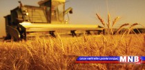  70 хүртэлх хувийн ургац алджээ