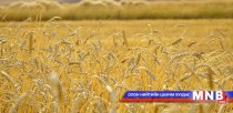 “Алтан намар 2015” наадам болж байна