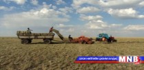 Дорнод аймаг аюулгүйн нөөцийн өвс, тэжээлээ бүрэн бэлтгэжээ