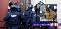 Террористын суманд өртсөн үнэрч нохойн дурсгалыг хүндэтгэцгээж байна
