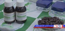 Үхрийн элгийг ашиглан элэгний хорт хавдрын эсийг бууруулах бэлдмэл хийжээ