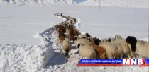 Баян-Өлгийд өвөлжилт хүндрэх төлөвтэй байна 