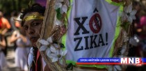 Зика вирусын эсрэг дэлхий нийт зогсоход 56 сая ам.доллар шаардлагатай 
