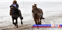 Хүүхдээр хурдан морь унуулвал хариуцлага тооцно