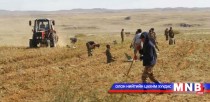 Дорноговь аймаг газар тариалангийн салбарт Чех, Япон улстай хамтарна 