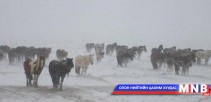  Матад суманд хаваржилт хүндэрч байна 