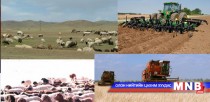 Экспортын бараа бүтээгдэхүүний нэр төрөл хөдөө аж ахуй руу чиглэж байна