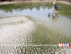 Уур амьсгалын өөрчлөлтийн тухай НҮБ-ын суурь конвенцийг соёрхон батлуулна