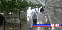 Хүлэмжийн аж ахуй эрхлэхэд хорио цээр, эрүүл ахуйн дэглэмийг мөрдөх нь чухал
