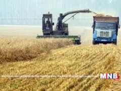 Үрийн буудайг яаралтай түгээхийг үүрэг болголоо