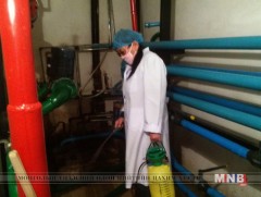 Нийслэлийн хэмжээнд мал эмнэлэгийн ариутгал хийнэ 