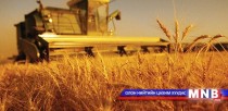 Дархан-Уул аймагт хаврын тариалалт эхэллээ