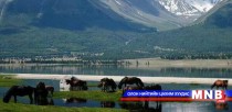 Баян-Өлгийн байгаль, амьтан судлаач 
