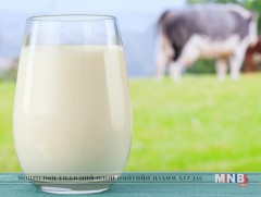 Хүүхдийн баяраар сүү, сүүн бүтээгдэхүүнээр бэлэг барина