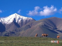 Уулс дундаа амьдарнам
