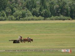 Хойлогтын ногоон хөндий