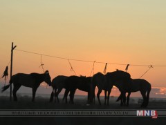 Эржигэн марзай буюу аялгуут мэгзэм