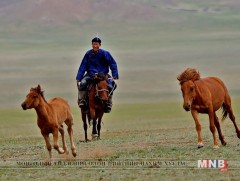 Дээлээ өмсөхөөр дэлхий дүүрнэ